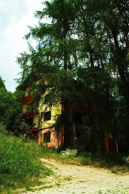 Raj Muszyna Apartamenty Z Widokiem Na Panorame Gorska المظهر الخارجي الصورة